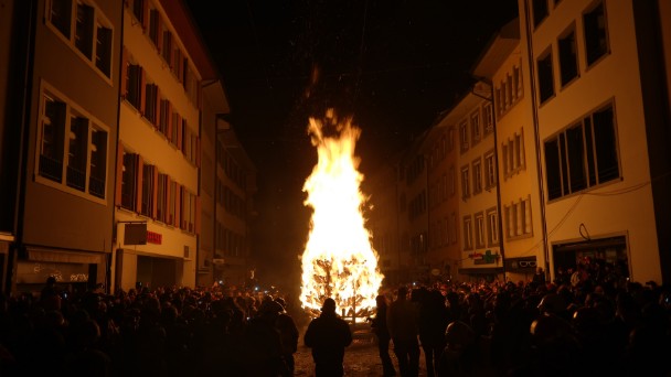 Bilder 2015